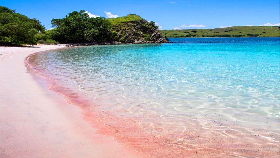 pink-beach